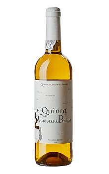 Quinta da Costa do Pinhão Branco