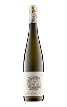 Schenk-Siebert Sausenheimer Hütt Riesling Alte Reben Trocken
