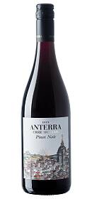 Anterra Pinot Noir 2016