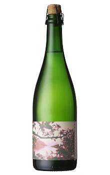 Jaastad Sideri Kjelda