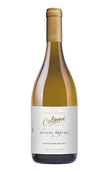 Colomé Altura Máxima Sauvignon Blanc