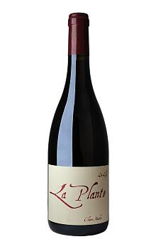 Claire Naudin Bourgogne La Plante