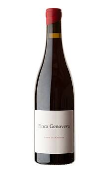 Forjas del Salnés Finca Genoveva Caiño Tinto
