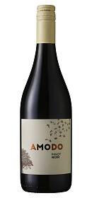 Amodo Provincia de Pavia Pinot Noir