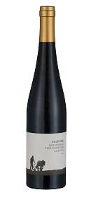 Pflüger Herrenberg Terrassenlage Riesling trocken 2015