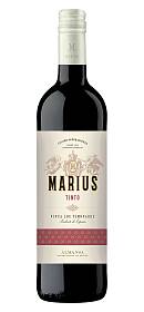 Bod. Piqueras Marius Tinto