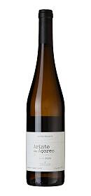 António Maçanita Arinto dos Açores