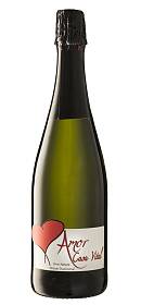 Casa Vital Amor 2015