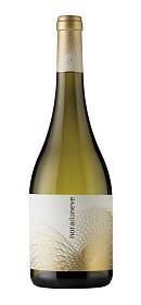 Bod. Nora Noradaneve