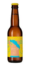 Mikkeller Drink`in the sun