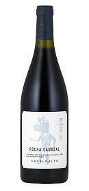 Casa Lo Alto Rocha Candeal