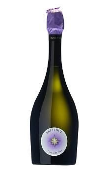 Marguet Sapience Premier Cru Vintage Brut Nature