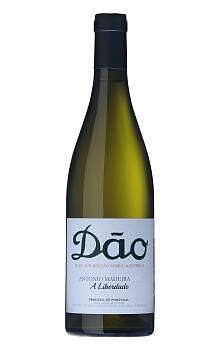 Antonio Madeira A Liberdade