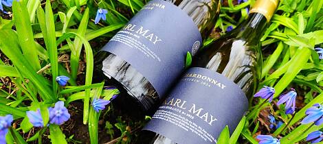 Disse to tyske vinene gir usannsynlig god valuta