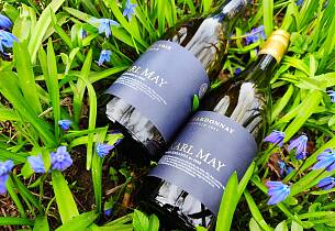 Disse to tyske vinene gir usannsynlig god valuta