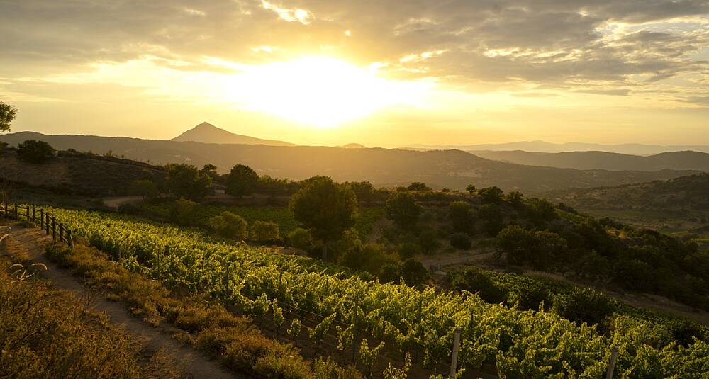 Mamoiada i det indre av Sardinia har mer enn karneval å by på