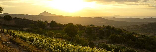 Mamoiada i det indre av Sardinia har mer enn karneval å by på