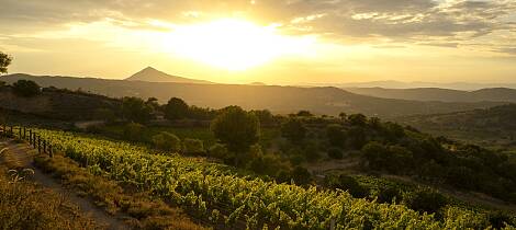 Mamoiada i det indre av Sardinia har mer enn karneval å by på