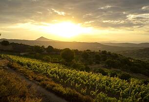 Mamoiada i det indre av Sardinia har mer enn karneval å by på