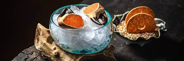 Thomas Sjögren skaper følelser med nærhet til naturen på tostjerneren Signum