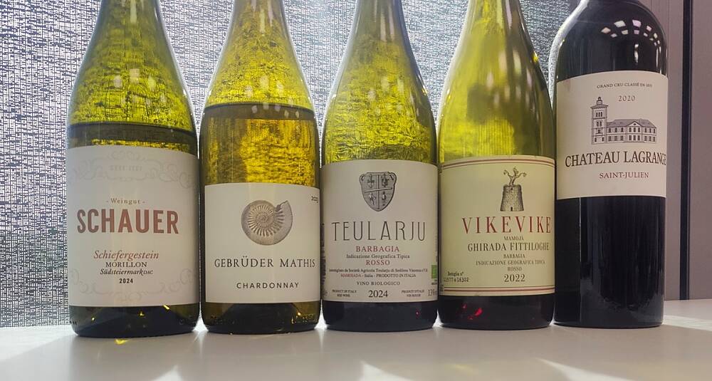 70 nye viner i basis testet: Bli kjent med et nytt vinområde