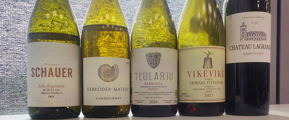 70 nye viner i basis testet: Bli kjent med et nytt vinområde