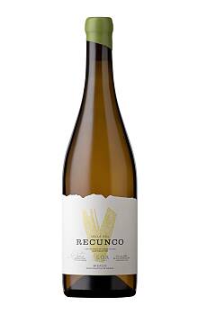 Valle del Recunco Vega