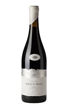 Valle del Recunco