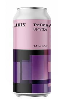 Bådin the Future is Purple Berry Sour
