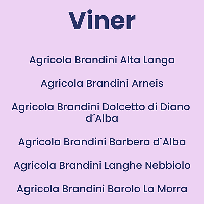 Brandini.png [38.71 KB]