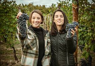 Smak 6 svært deilige viner fra Piemonte