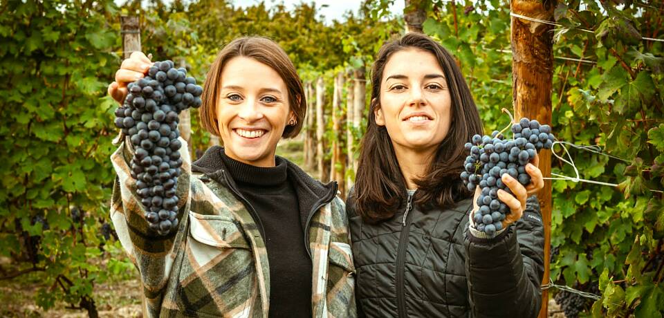 Smak 6 svært deilige viner fra Piemonte