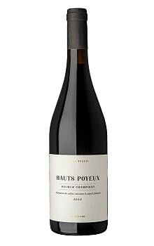 Fabien Duveau Saumur Champigny Hauts Poyeux