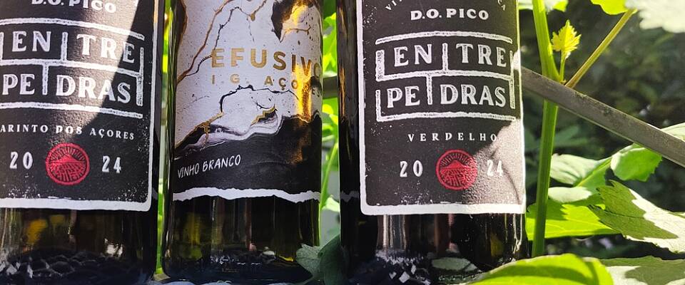 Azorene fortsetter å imponere - disse vinene er intet unntak
