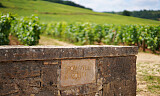 Burgund passerer Bordeaux