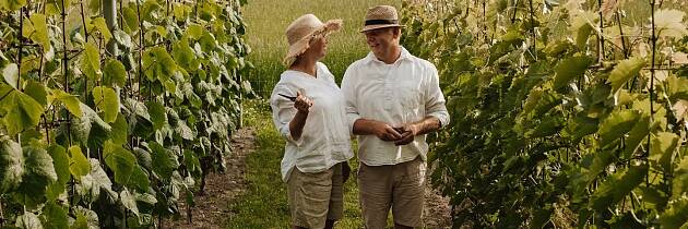 Beste norske vin er kåret